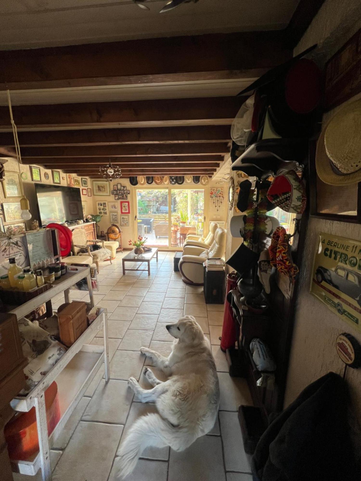 La Maison Du Bonheur Saintry-sur-Seine Buitenkant foto
